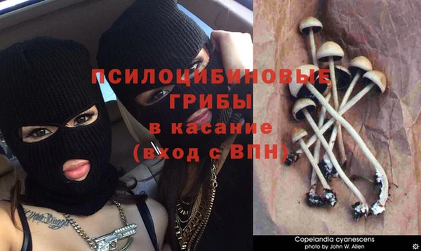 молекула духа Балабаново